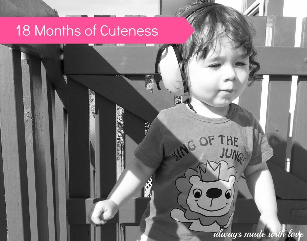 18 Months of Cuteness