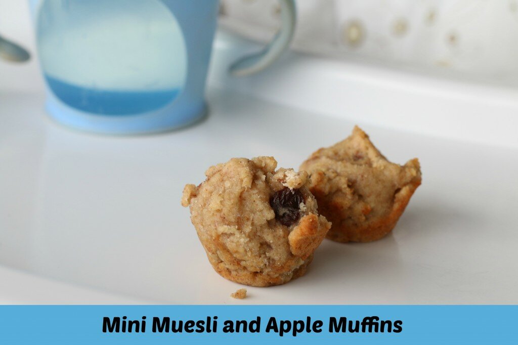 Bubba Bites - Mini Muesli and Apple Muffins 