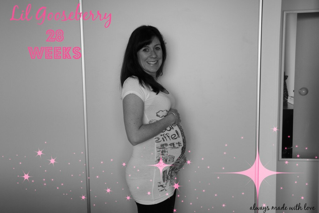 Lil Gooseberry ~ 28 weeks