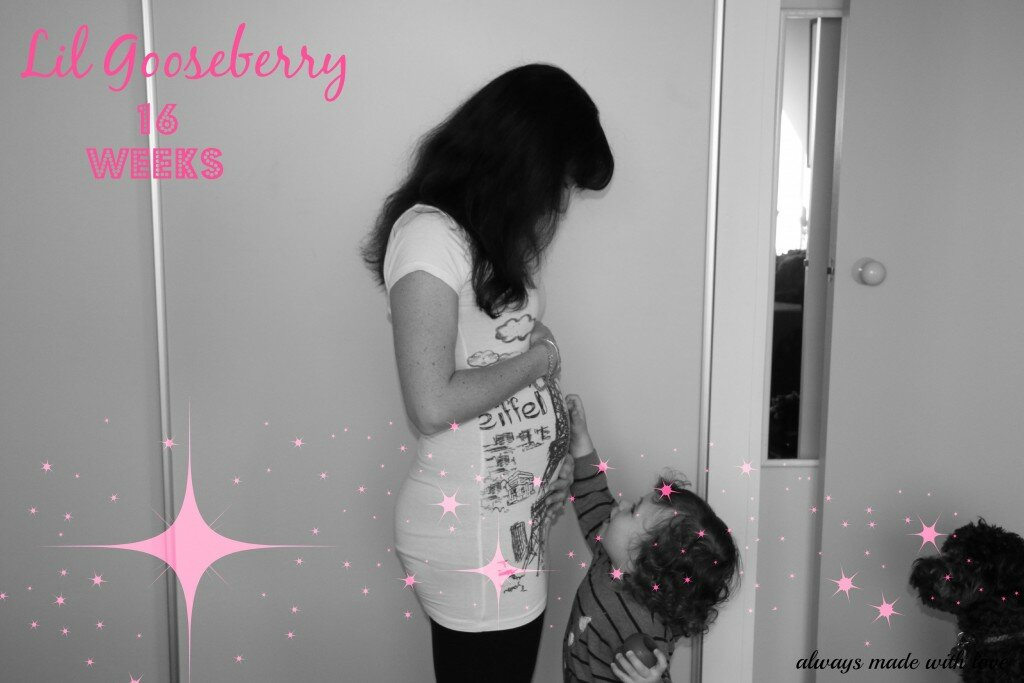 Lil Gooseberry ~ 16 Week Update